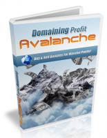 Domaining Profits Avalanche