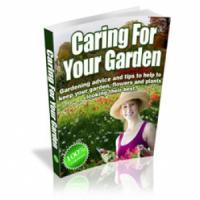 Caring For Your Garden