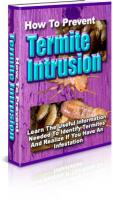 How To Prevent Termite Intrusion