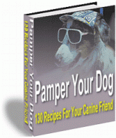 Pamper Your Dog