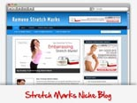 Stretch Marks Niche Blog 