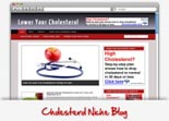 Cholesterol Niche Blog 