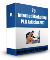 25 Internet Marketing PLR Articl...