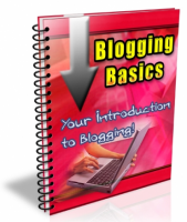 Blogging Basics Newsletter 