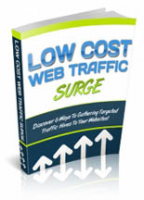 Low Cost Web Traffic Surge 