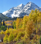 Rocky Mountain Foliage Photos 