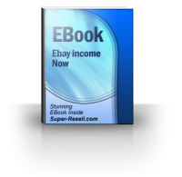 Ebay Income Now