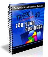 Traffic & SEO For Your Business ...